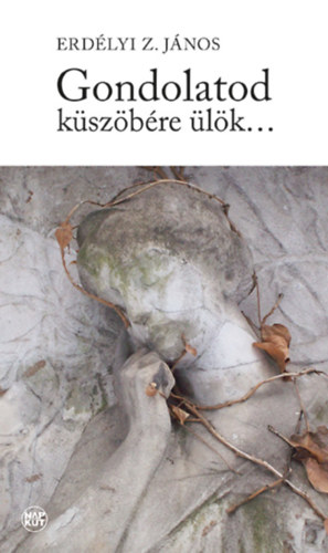 Erd�lyi Z. J�nos - Gondolatod k�sz�b�re �l�k...