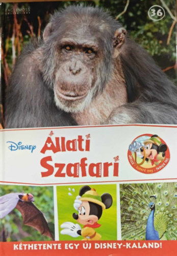 llati Szafari (Disney) 36