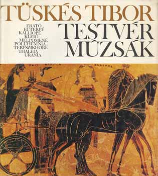 Tsks Tibor - Testvr mzsk