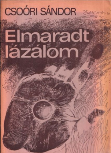 Cso�ri S�ndor - Elmaradt l�z�lom (Bertha Bulcsunak dedik�lt p�ld�ny)