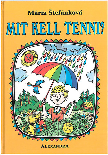 M�ria Stef�nkov� - Mit kell tenni?