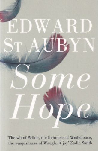 Edward St. Aubyn - Some Hope