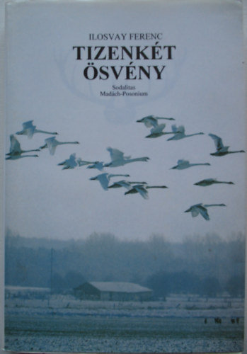 Ilosvay Ferenc - Tizenkét ösvény (Egy vadászév regénye)
