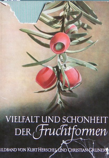 Herschel-Grunert - Vieltfalt und Sch�nheit ger Fruchtformen (Bildband)