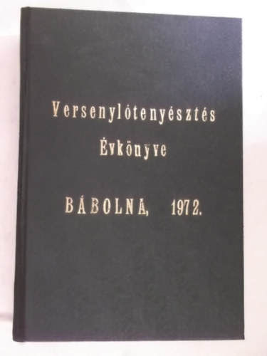 Versenyl�teny�szt�s