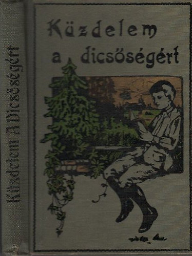 Ujfalussy Amadil - Küzdelem a dicsőségért (ifjusági regény)