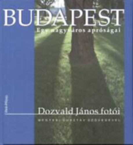 Dozvald Jnos-Megyesi Gusztv - Budapest: Egy nagyvros aprsgai