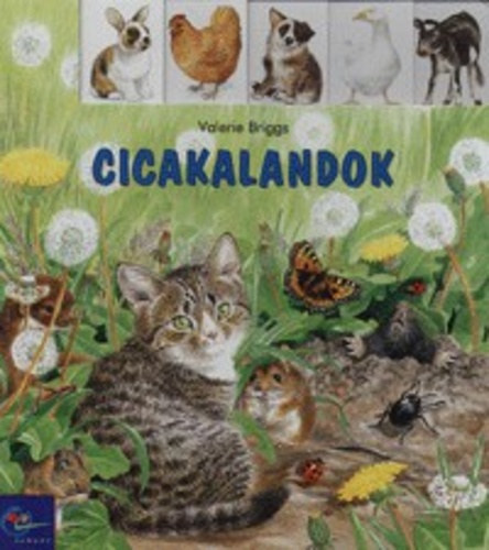 Valerie Briggs - Cicakalandok