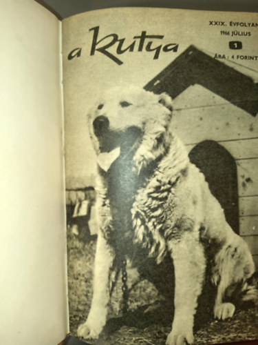 Biró András - A kutya 1966-1967 Egybekötve