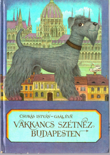 Csukás István-Gaál Éva - Vakkancs szétnéz Budapesten