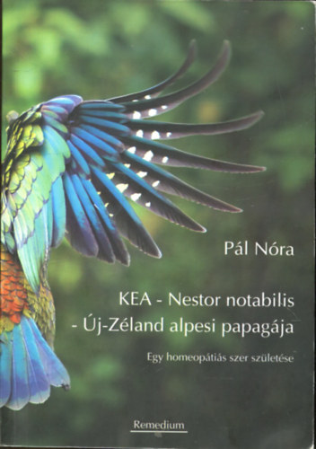 Pl Nra - KEA - Nestor notabilis - j-Zland alpesi papagja