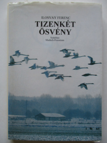 Ilosvay Ferenc - Tizenkét ösvény (Egy vadászév regénye)
