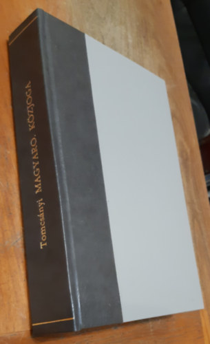 Tomcsányi Móric - Magyarország közjoga
