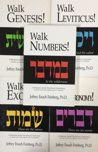 Jeffrey Enoch Feinberg - The Walk Set (5 volumes)