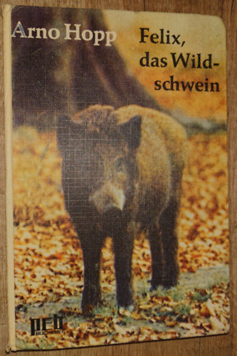 Arno Hopp - Felix, der Wildschwein