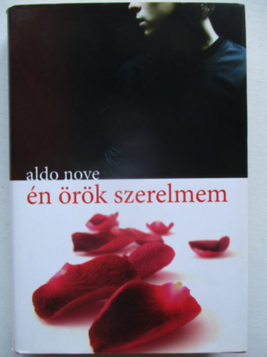 Aldo Nove - �n �r�k szerelmem