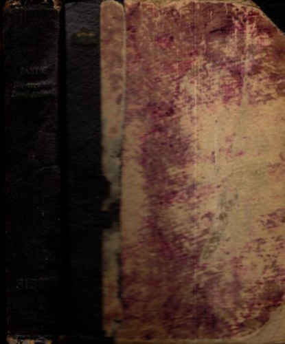 B�nyai L�szl� - N�gyszemk�zt J�zsef Attil�val