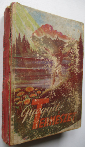 Dr. Arany Gy�rgy - Gy�gy�t� term�szet