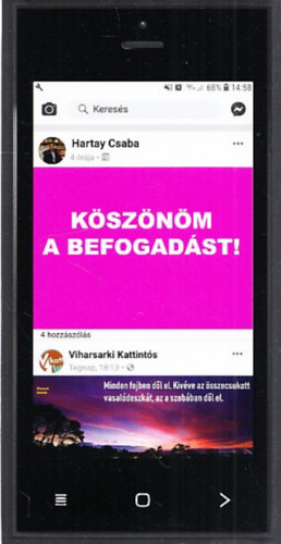 Hartay Csaba - Ksznm a befogadst