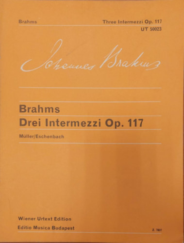 Brahms - Drei Intermezzi op 117 (kotta)