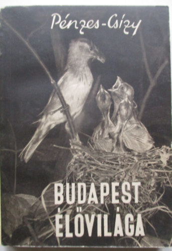 Pnzes-Cszy - Budapest lvilga
