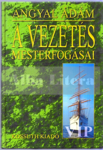 Angyal dm - A vezets mesterfogsai