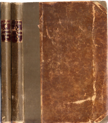 Boross Mihly - A harmadik testamentom I-II. (fantasztikus regny)