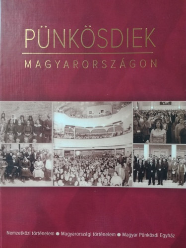 Ungvri Csaba  (szerk.) - Pnksdiek Magyarorszgon