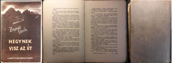 Zaymus Gyula - Hegynek visz az �t