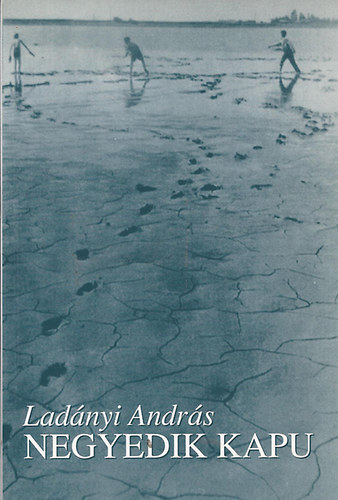 Ladányi András - Negyedik kapu - Beszélgetések a 207 éves Borbányáról