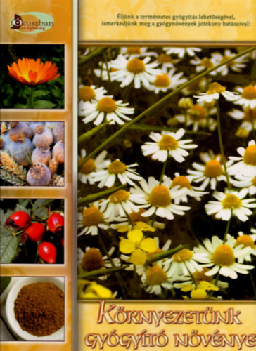 Buday Andrea - K�rnyezet�nk gy�gy�t� n�v�nyei