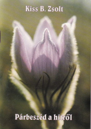 Kiss B. Zsolt - P�rbesz�d a hitr�l