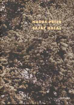 Ndas Pter - Sajt hall