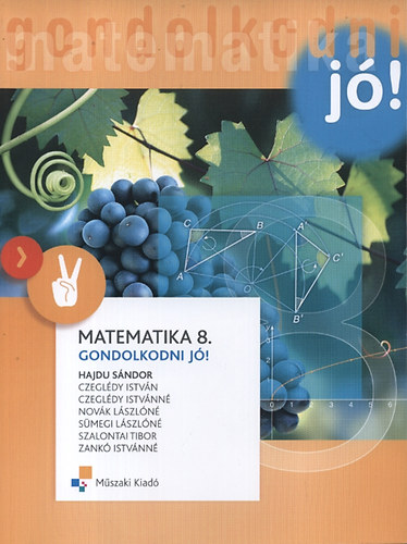 Dr. Hajdu Sndor - Matematika 8.  Gondolkodni j!