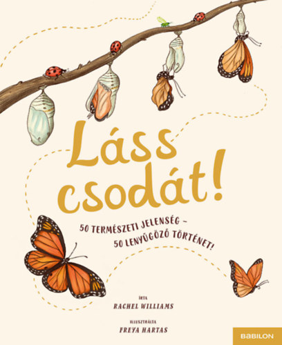 Rachel Williams - Láss csodát!