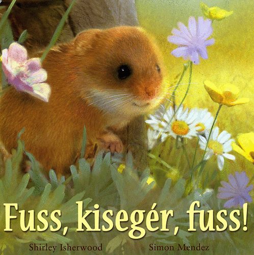 Fuss, kiseg�r, fuss!