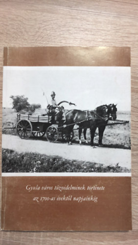 Dr. Mray Gyrgy, Szllsi Pl D. Nagy Andrs - Gyula vros tzvdelmnek trtnete az 1700-as vektl napjainkig