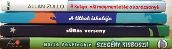 Marie Desplechin Allan Zullo - Ifjsgi regnycsomag