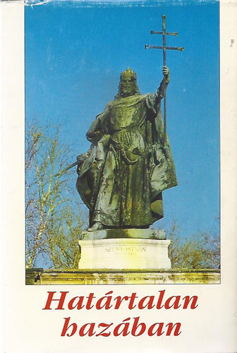 Dvid Gyula- Veress Zoltn  (szerk) - Hatrtalan hazban (Ezredforduls tprengsek)