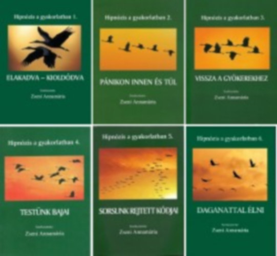 Zseni Annamria - Hipnzis a gyakorlatban 1-6. (Elakadva - kiolddva - Pnikon innen s tl - Vissza a gykerekhez - Testnk bajai - Sorsunk rejtett kdjai - Daganattal lni)