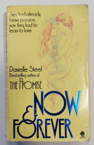Danielle Steel - Now and Forever