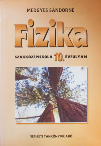 Medgyes S�ndorn� - Fizika 10. �vfolyam szakk�z�piskola