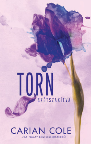 Carian Cole - Torn - Sztszaktva