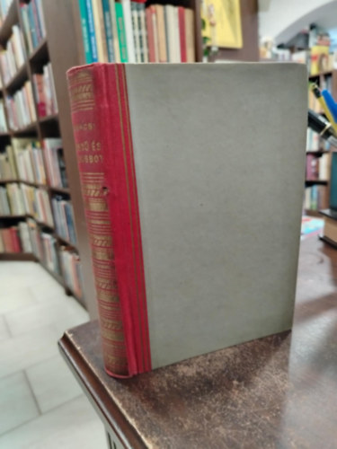 Mohácsi Jenő - Hegedű és koldusbot - Rózsavölgyi Márk életének regénye