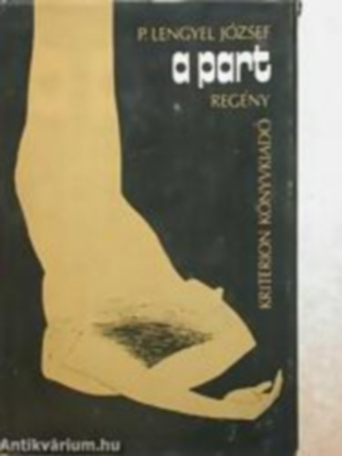 P. Lengyel József - A part