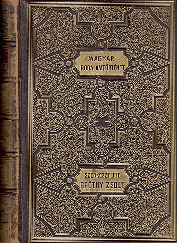Bethy Zsolt-Badics Ferenc  (szerk.) - Kpes magyar irodalomtrtnet - A magyar irodalom trtnete I. ktet