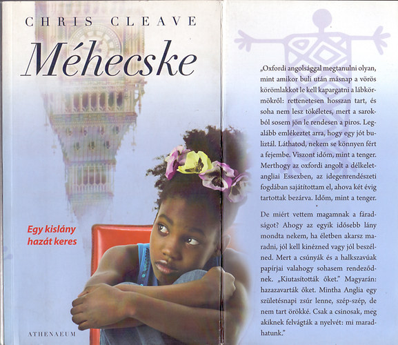 Chris Cleave - Méhecske - Egy kislány hazát keres