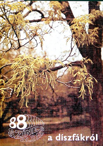 Dr. Schmidt Gbor - a dszfkrl