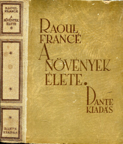 Raoul France - A nvnyek lete