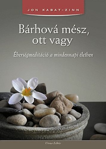 Jon Kabat-Zinn - Brhov msz, ott vagy